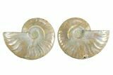 Cut & Polished Crystal-Filled Ammonite Fossil - Madagascar #354156-1